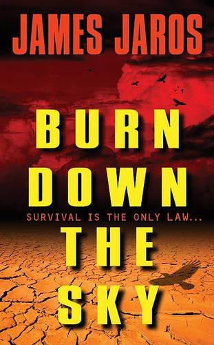 Cover image for Burn Down the Sky