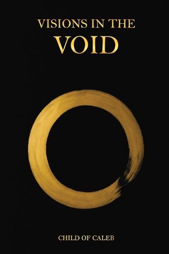Cover image for Visions in the Void