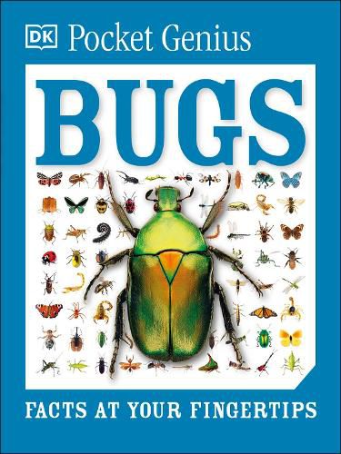 Cover image for Pocket Genius: Bugs: Facts at Your Fingertips