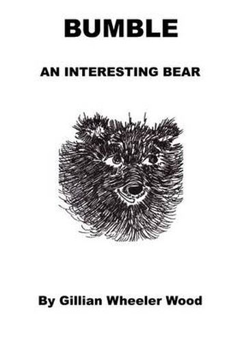 Cover image for Bumble an Interesting Bear