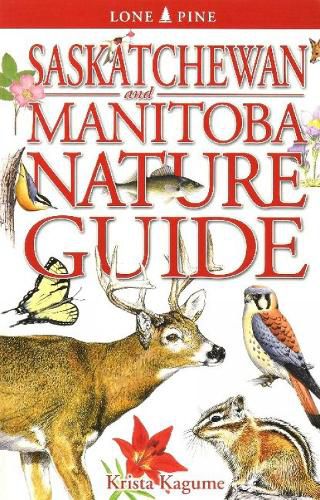 Cover image for Saskatchewan and Manitoba Nature Guide