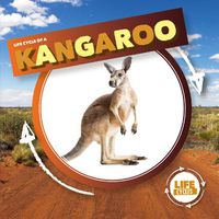 Cover image for Kangaroo