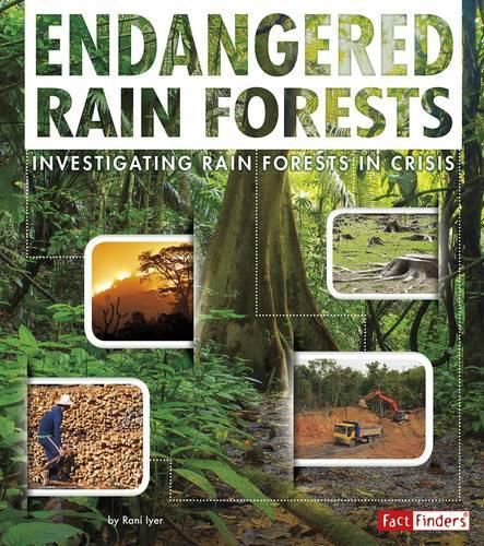 Cover image for Rain Forests