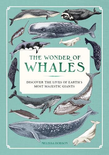 Cover image for The Wonder of Whales