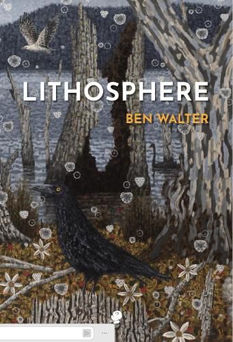 Cover image for Lithosphere