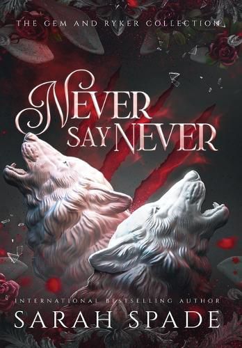 Cover image for Never Say Never