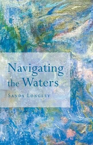 Cover image for Navigating the Waters