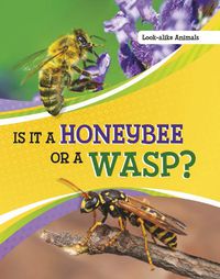 Cover image for Is It a Honeybee or a Wasp?