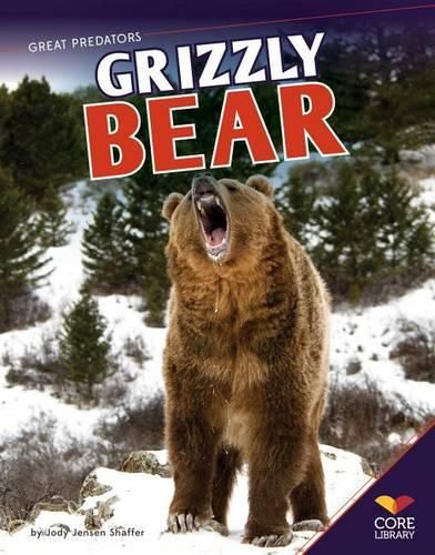 Cover image for Grizzly Bear