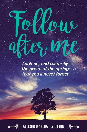 Cover image for Follow After Me