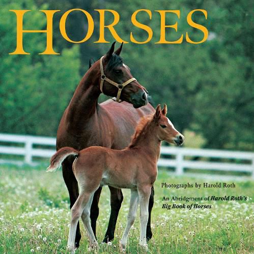 Cover image for Horses: An Abridgement of Harold Roth's Big Book of Horses