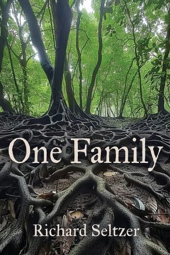 Cover image for One Family