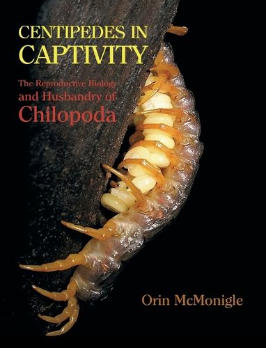 Cover image for Centipedes in Captivity