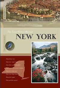 Cover image for New York