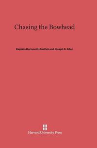 Cover image for Chasing the Bowhead