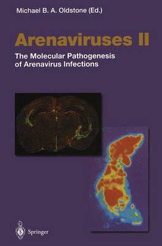 Cover image for Arenaviruses: The Molecular Pathogenesis of Arenavirus Infections