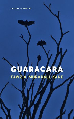 Cover image for Guaracara