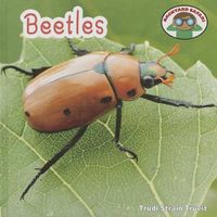 Cover image for Beetles