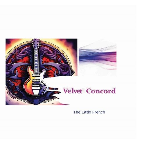 Cover image for Velvet Concord