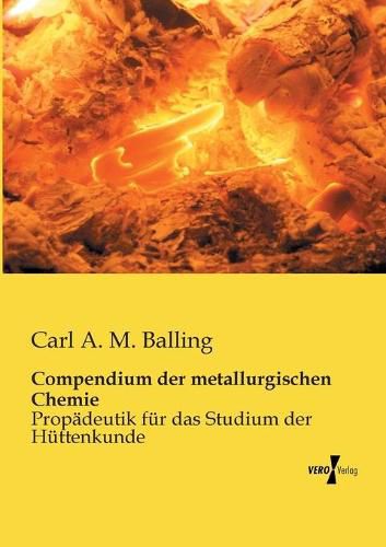 Cover image for Compendium der metallurgischen Chemie: Propadeutik fur das Studium der Huttenkunde