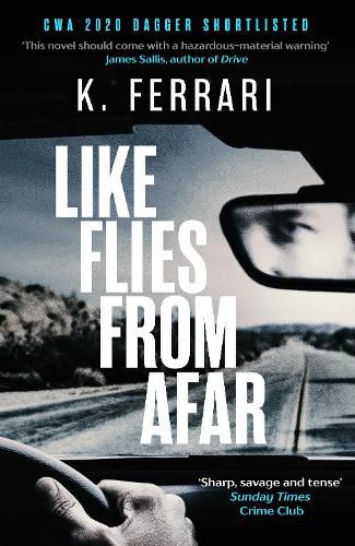 Cover image for Like Flies from Afar