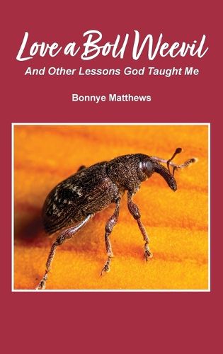 Cover image for Love a Boll Weevil