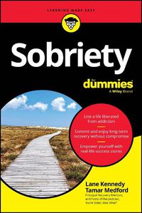 Cover image for Sobriety For Dummies