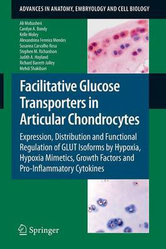 Facilitative Glucose Transporters in Articular Chondrocytes: Expression, Distribution and Functional Regulation of GLUT Isoforms by Hypoxia, Hypoxia Mimetics, Growth Factors and Pro-Inflammatory Cytokines