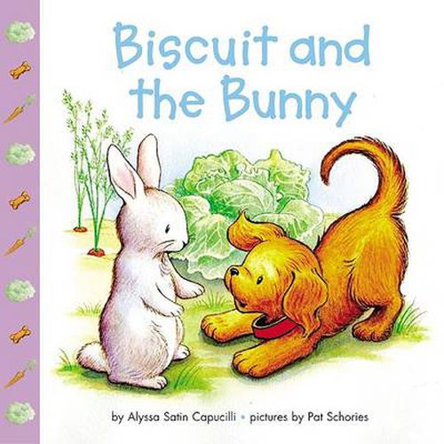 Cover image for Biscuit and the Bunny
