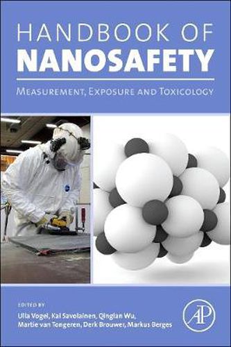 Cover image for Handbook of Nanosafety: Measurement, Exposure and Toxicology