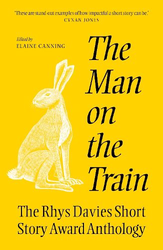 Cover image for The The Man on the Train