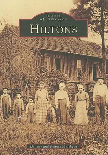 Cover image for Hiltons