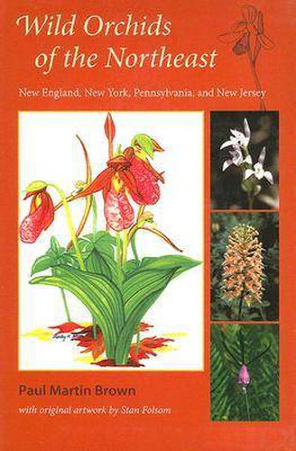 Wild Orchids of the Northeast