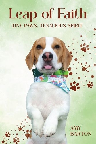 Cover image for Leap of Faith