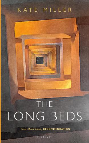 Cover image for The Long Beds