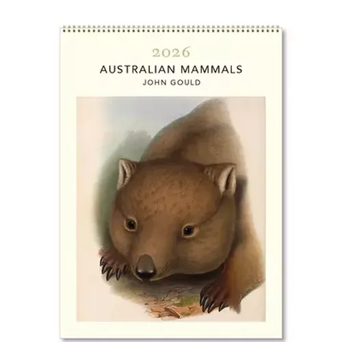 Cover image for Australian Mammals John Gould Medium 2026 Calendar