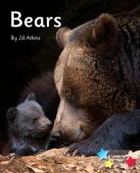 Cover image for Bears: Phonics Phase 5