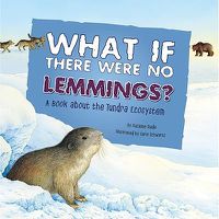 Cover image for What If There Were No Lemmings?: A Book about the Tundra Ecosystem