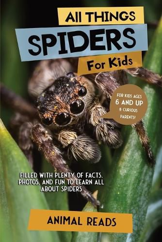 Cover image for All Things Spiders For Kids