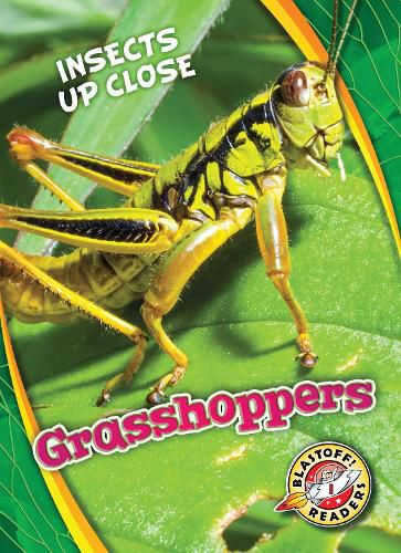 Cover image for Grasshoppers