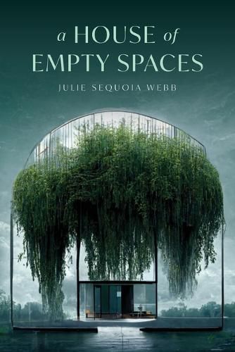 Cover image for A House of Empty Spaces