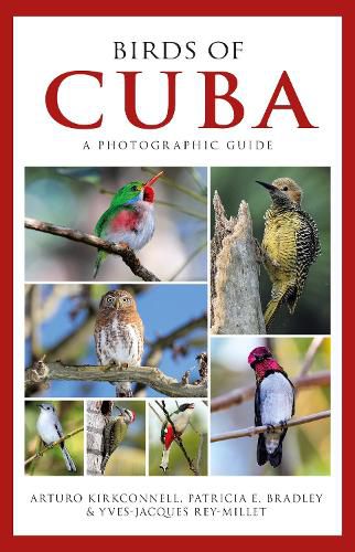 Cover image for Photographic Guide to the Birds of Cuba