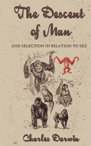 Cover image for The Descent Of Man