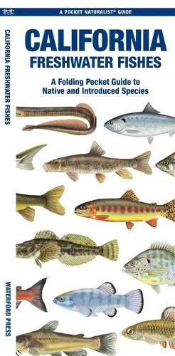 Cover image for California Freshwater Fishes