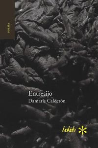 Cover image for Entresijo