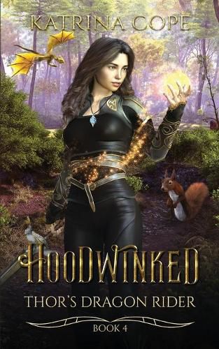 Cover image for Hoodwinked