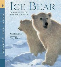 Cover image for Ice Bear: Read and Wonder: In the Steps of the Polar Bear