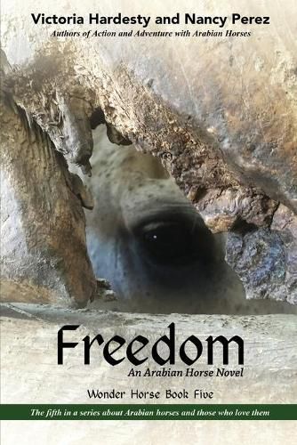 Cover image for Freedom