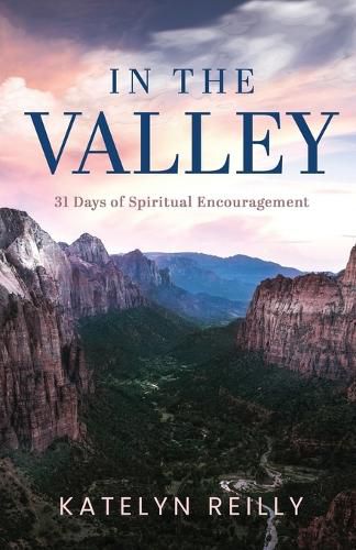 Cover image for In the Valley