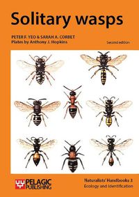 Cover image for Solitary wasps